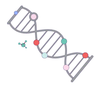 Causes of Laryngeal and Hypopharyngeal Cancers- Genetic Syndromes