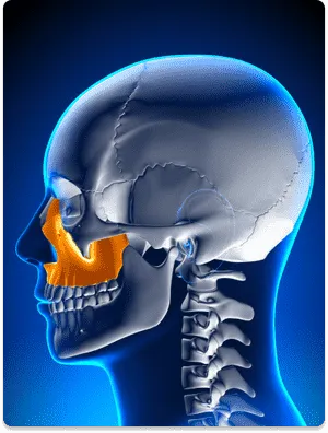 maxilla cancer treatment- Dr.Amit Chakraborty