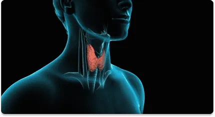 Subtotal Thyroidectomy- Purpose of Thyroid Sugery- Dr.Amit Chakraborty