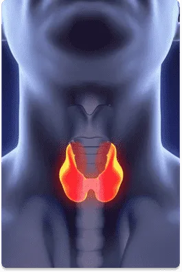 Thyroid Cancer - Dr.Amit Chakraborty