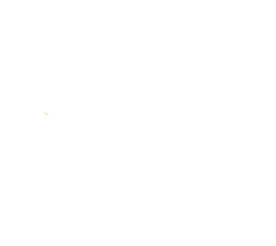 lungs treatment surgery- dr.amit chakraborty