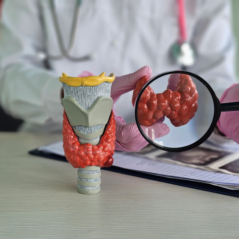 Patient Journey at Dr. Amit’s Cancer Care